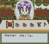 Daisy (Harvest Moon: 2 GBC)'s Photo